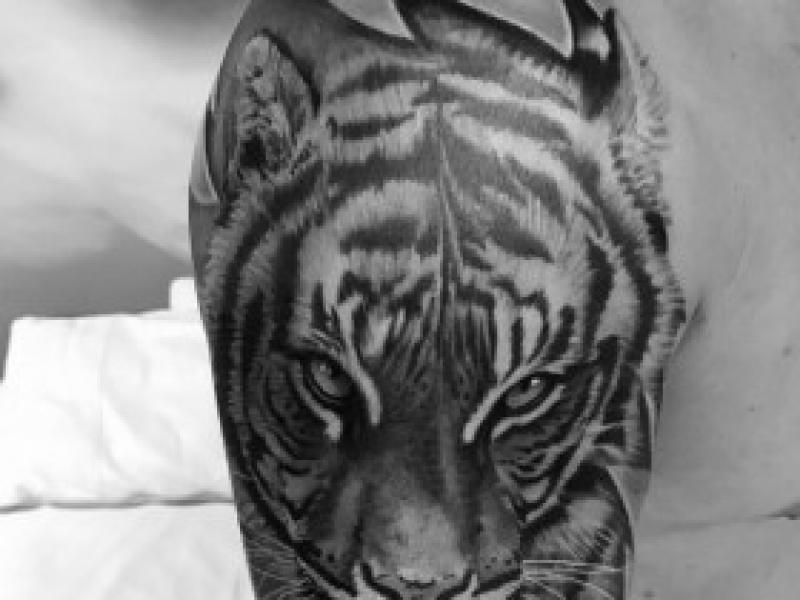 Tiger tatovering – betydning og design til piger og mænd Grin contour tiger på skulderen